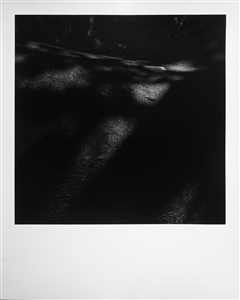 Image description is not available for 2024.074